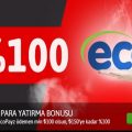 youwin %100 ecopayz para yatırma bonusu